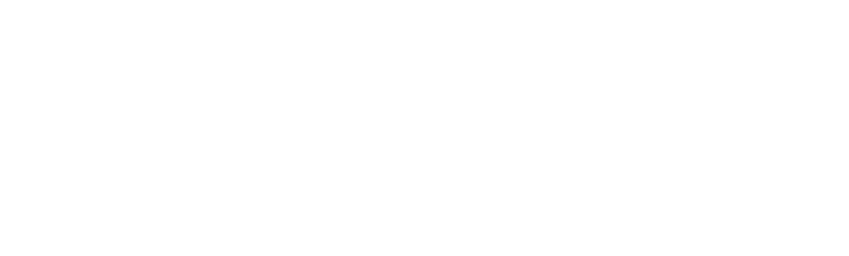 Switto